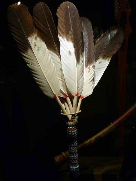 native american feather meaning  full guide