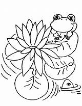 Coloring Pages Lily Frogs Printable Monet Kids Color Water Pad Claude Flowers Print Lilies Outline Children Pads Flower Clipart Drawing sketch template
