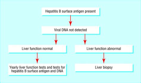 Chronic Viral Hepatitis The Bmj