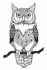 Outline Hibou Drawing Chouette Owls Ephemere Colouring sketch template