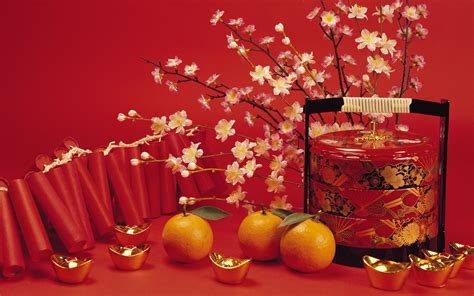 happy chinese  year traditions