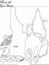 Idaho Coloring Pages State Symbols Getcolorings sketch template