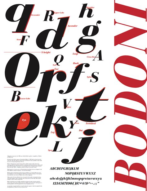 bodoni typeface anatomy behance