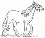 Coloring Gypsy Vanner Drawing Horse Pages Draw Printable Step Categories Supercoloring sketch template