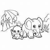 Elephant Colorear St2 Elefantes Paw sketch template