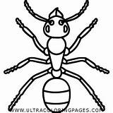 Ant Coloring Pages sketch template