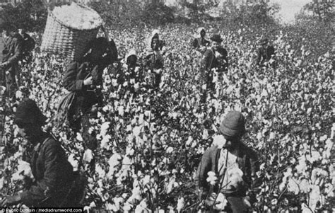 images show brutal reality endured by slaves in america daily mail online