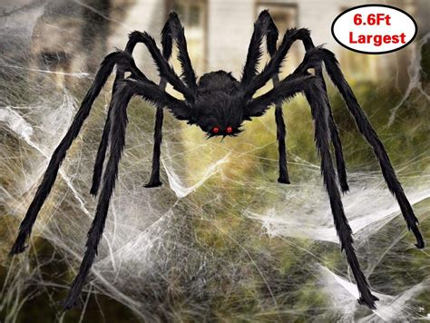1 Best Ideas For Coloring Big Spiders For Halloween
