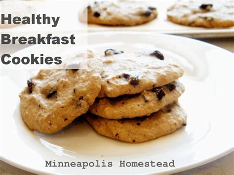 high protein banana chocolate chip breakfast cookies recipe healthy gf