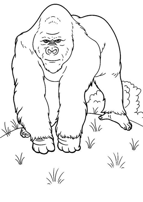 gorilla trekking animal coloring pages coloring book pages