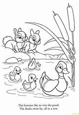 Pages Ducks Coloring Bunnies Color Printable Online sketch template