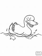 Pond Duck Drawing Ducks Getdrawings Coloring sketch template