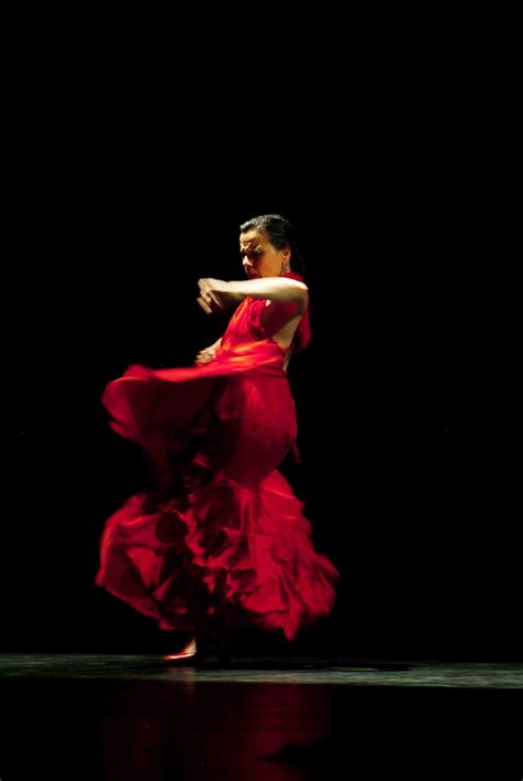 flamenco straight   motherland