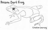 Frog Dart Poison Coloring Pages Printable Blue Drawing Frogs Kids Bestcoloringpagesforkids Camouflage Template Cut Simple Sheets Animals Drawings Designlooter Sketch sketch template
