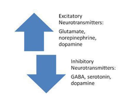 Neurotransmitters Natural Balance Wellness Medical Center