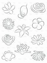 Blumen Malen Blumenzeichnung Pinnwand Deko Skizzieren sketch template