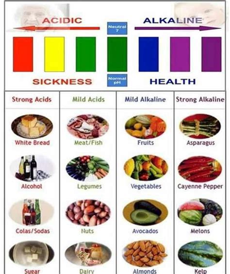 Alkalined Foods Raw Food Diet Acidic Foods Food Charts
