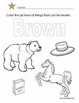 Brown Color Lesson sketch template
