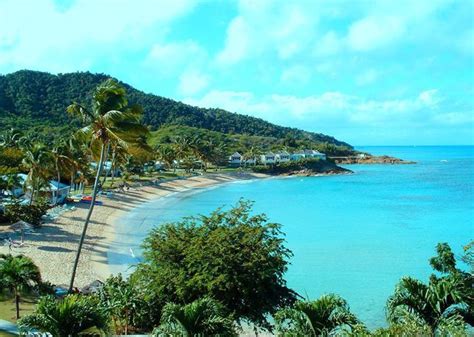 barbuda island   places      pinterest