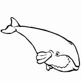 Whale Coloring Pages Color Animals Animal Clipart Print Back sketch template