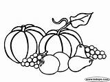 Coloring Pages Fall Harvest Printable Colouring Print Clipart Autumn Z31 Drawing Vegetable Children Kids Pic Choose Board sketch template