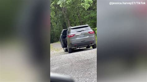 What A Bear Watch As This Bear Cub Opens A Car Door And Climbs Right