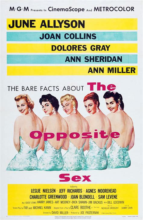 the opposite sex us poster art photograph by everett