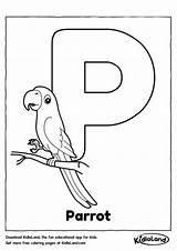 Coloring Alphabet Pages Worksheets Worksheet Printable Kidloland Kids Birds sketch template
