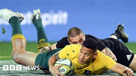 australia rugby team same sex marriage spat bbc news