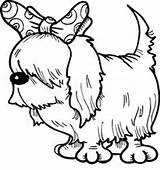 Coloring Spaniel Boykin Small Dogs Puppies sketch template