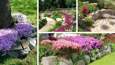 amazing ideas  diy flower beds   stones  desired home