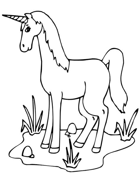 unicorn coloring pages ideas  printable   coloring sheets