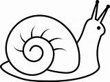 Snail Escargot Lenteur Cone Snails Pinclipart Automatically sketch template