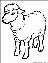 Sheep Outline Coloring Farm Animal Drawing Lamb Animals Choose Board Pages Kids sketch template