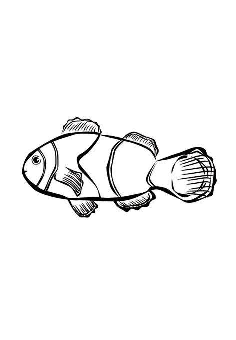 clown fish coloring pages images   fish coloring page
