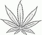 Leaf Cannabis Tattoo Weed Marijuana Drawing Plant Coloring Pot Clipart Draw Pages Drawings Sketch Joint Tattoos Clip Drugs Simple Hemp sketch template