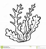 Seaweed Coloring Sea Pages Plants Clip Cartoon Algae Ocean Coral Clipart Grass Drawing Print Outline Printable Kids Color Drawings Life sketch template