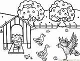Coloring Farm Pages Farmer Chickens Animal Clipart Hen Chicken Printable Poule Birds China Library Comments Ancient Hens Turkey Coloriage Chicks sketch template