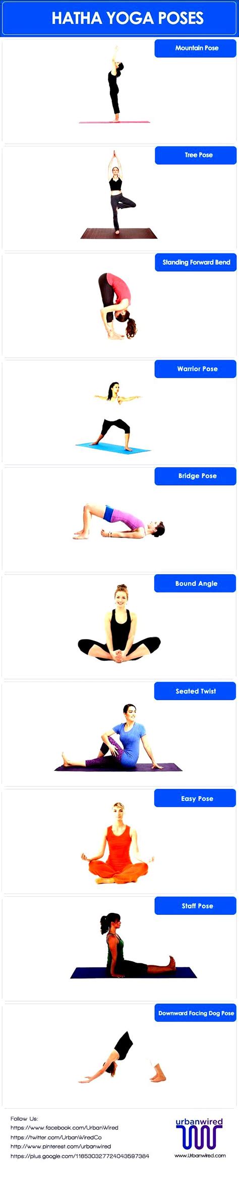 basic hatha yoga poses work  picture media work  picture media