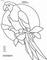 Stained Macaw Parrot Ara Vitray Ausmalbilder Oiseau Owl Mykinglist Blown Intarsia Patron Hummingbird Coloringhome sketch template