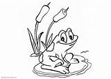 Pond Frog Coloring Pages Sit Lily Water Printable Color Kids sketch template
