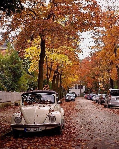fall leaves  vintage cars autumn scenery autumn aesthetic