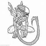 Predator Alien Trevor Xcolorings Henderson 760px 103k sketch template