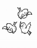 Bird Coloring Pages Cartoon Printable Choose Board sketch template