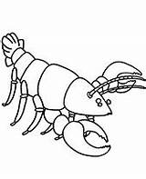 Crayfish Topcoloringpages sketch template