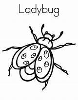 Coloring Bug Pages Ladybug Printable Insect Lightning Kids Template Print Clipart Bugs Color Noodle Twisty Insects Twistynoodle Printables Books Favorites sketch template