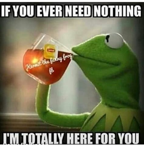 17 best images about kermit memes on pinterest sipping tea funny and america
