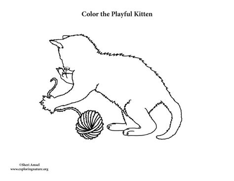 kitten playing  yarn coloring page kittens playing coloring