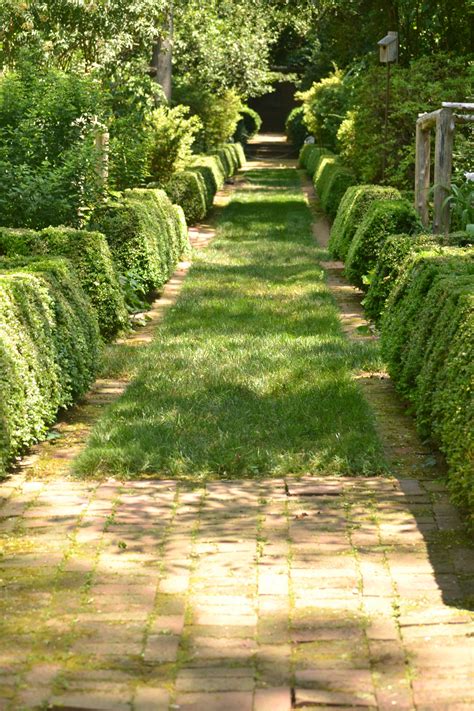 images path pathway grass plant lawn flower stone walkway summer walk foliage
