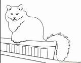 Coloring Cat Balcony Sitting Coloringpages101 Pages sketch template